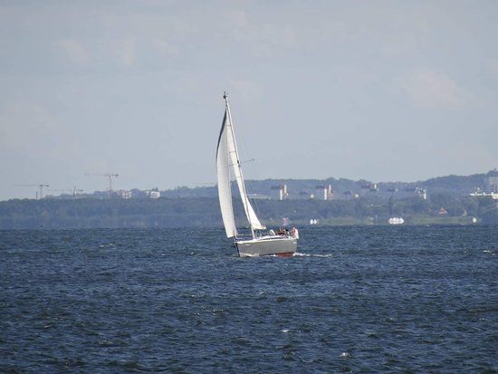 Wodna sceneria plażowa